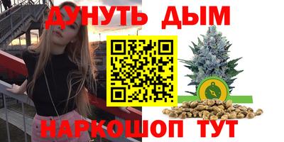 твердый Бийск