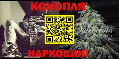 твердый Бийск