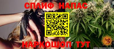 твердый Бийск