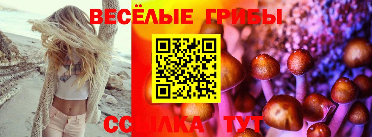Зеленокумск  где продают наркотики  Вход с VPN  Галлюциногенные грибы мицелий  Псилоцибиновые грибы прущие грибы 