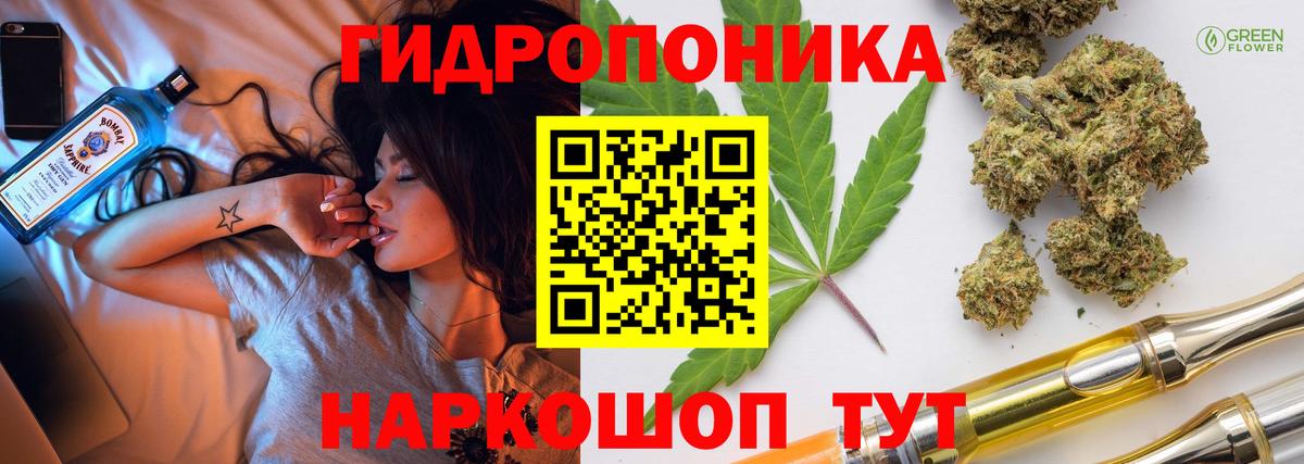 Каннабис сатива  Каннабис семена  Бошки марихуана ГИДРОПОН  Зеленокумск  МАРИХУАНА Bruce Banner  Вход с VPN 